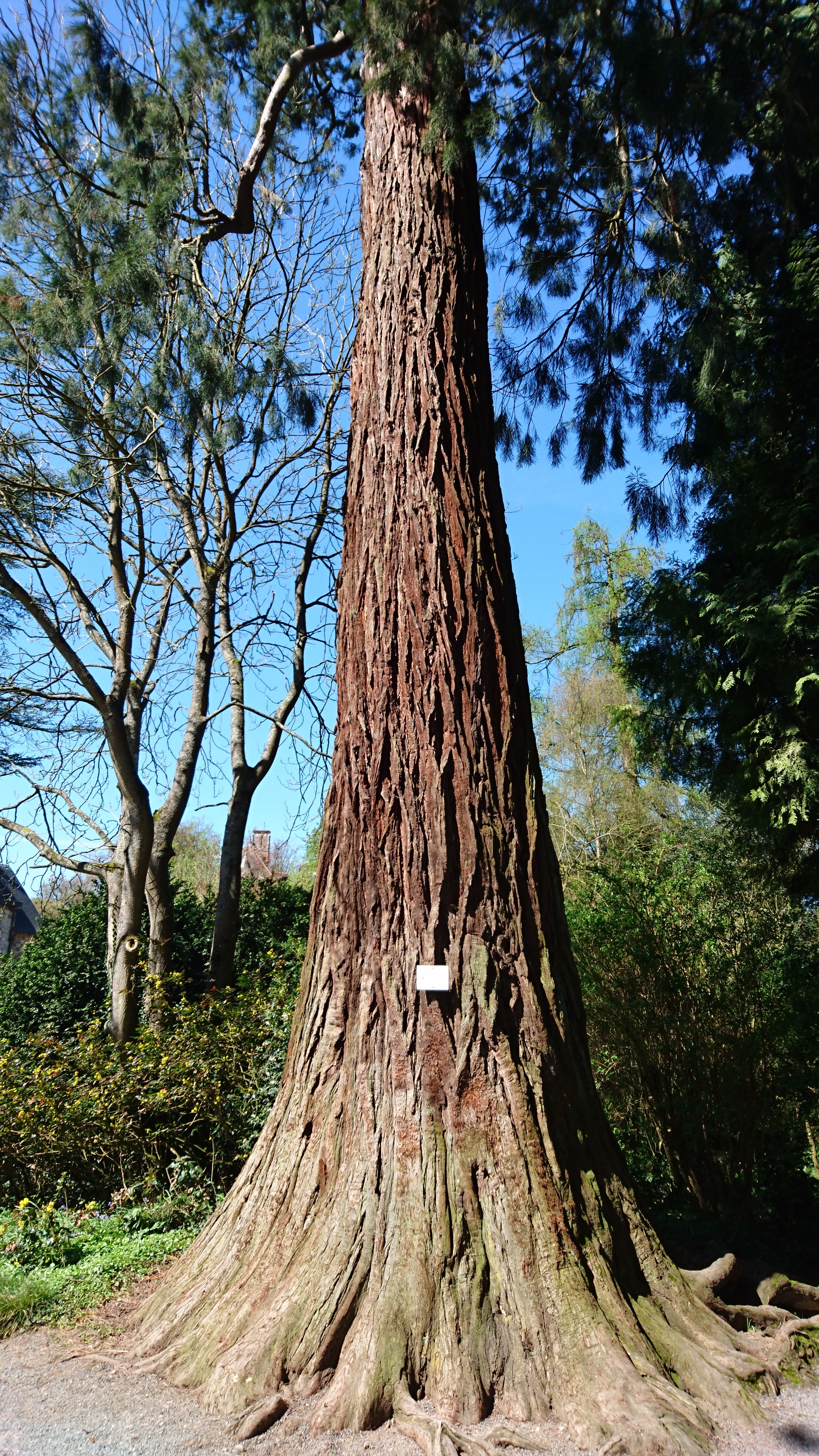 Photo n° 27 de l'avis de Pascale.o fait le 18/04/2018 à 14:11