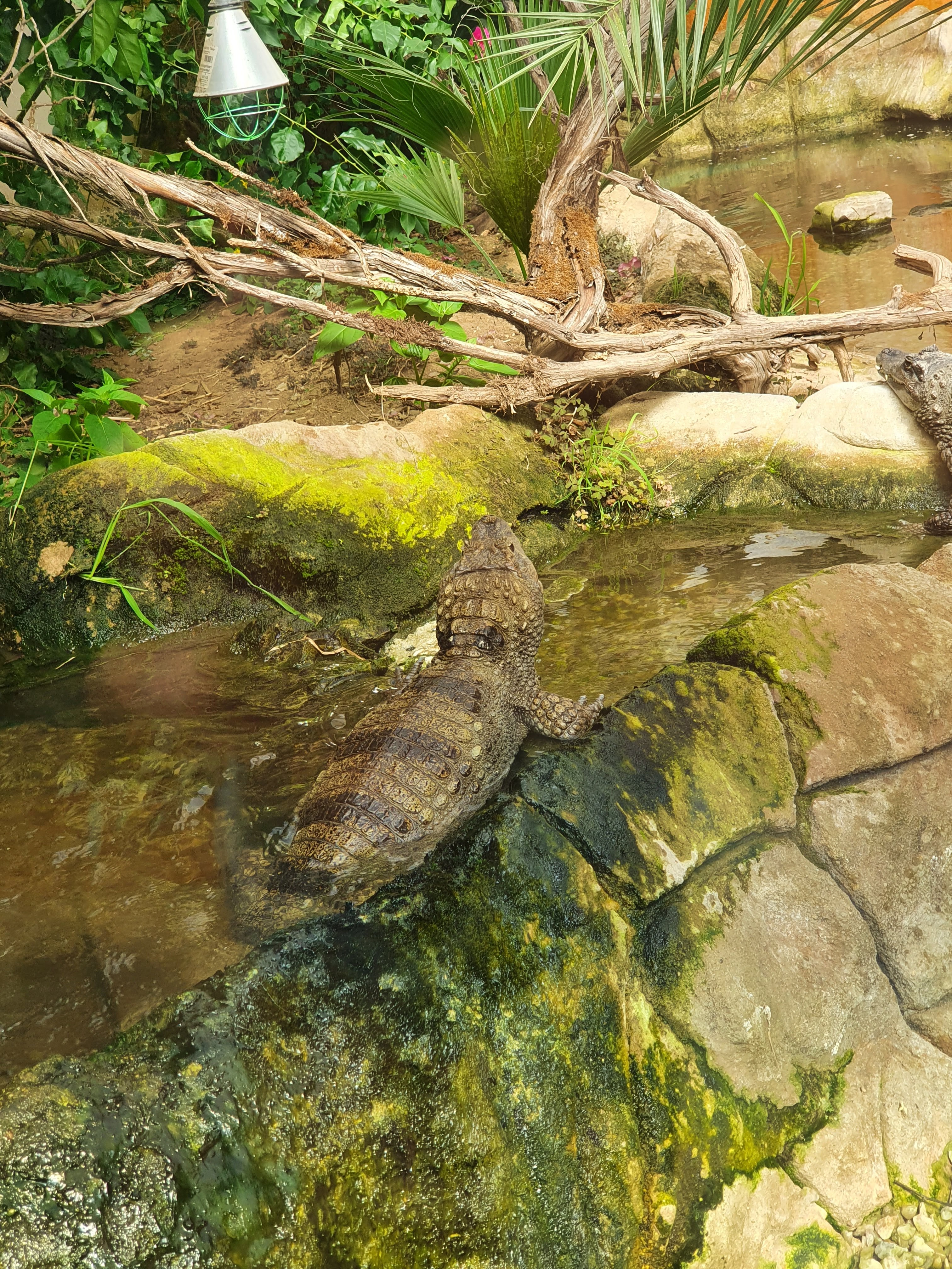 Photo n° 7 de l'avis de Alc. fait le 14/05/2022 à 10:09