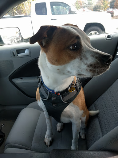 Pet Supply Store «Petco Animal Supplies», reviews and photos, 1483 NJ-23 #14b, Kinnelon, NJ 07405, USA