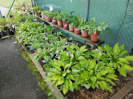 Hardware Store «Ham Lake Hardware Hank», reviews and photos, 17426 MN-65, Ham Lake, MN 55304, USA