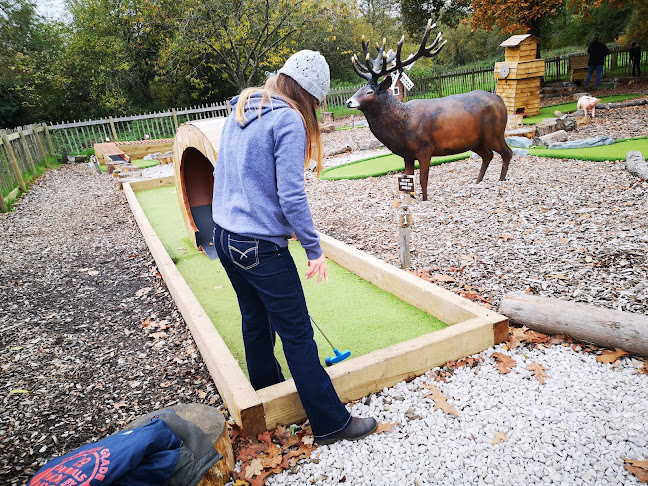 dintonadventuregolf.co.uk