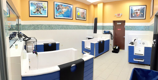 Pet Supply Store «Pet Evolution - Pet Food | Dog Wash | Grooming», reviews and photos, 429 Commerce Dr, Woodbury, MN 55125, USA