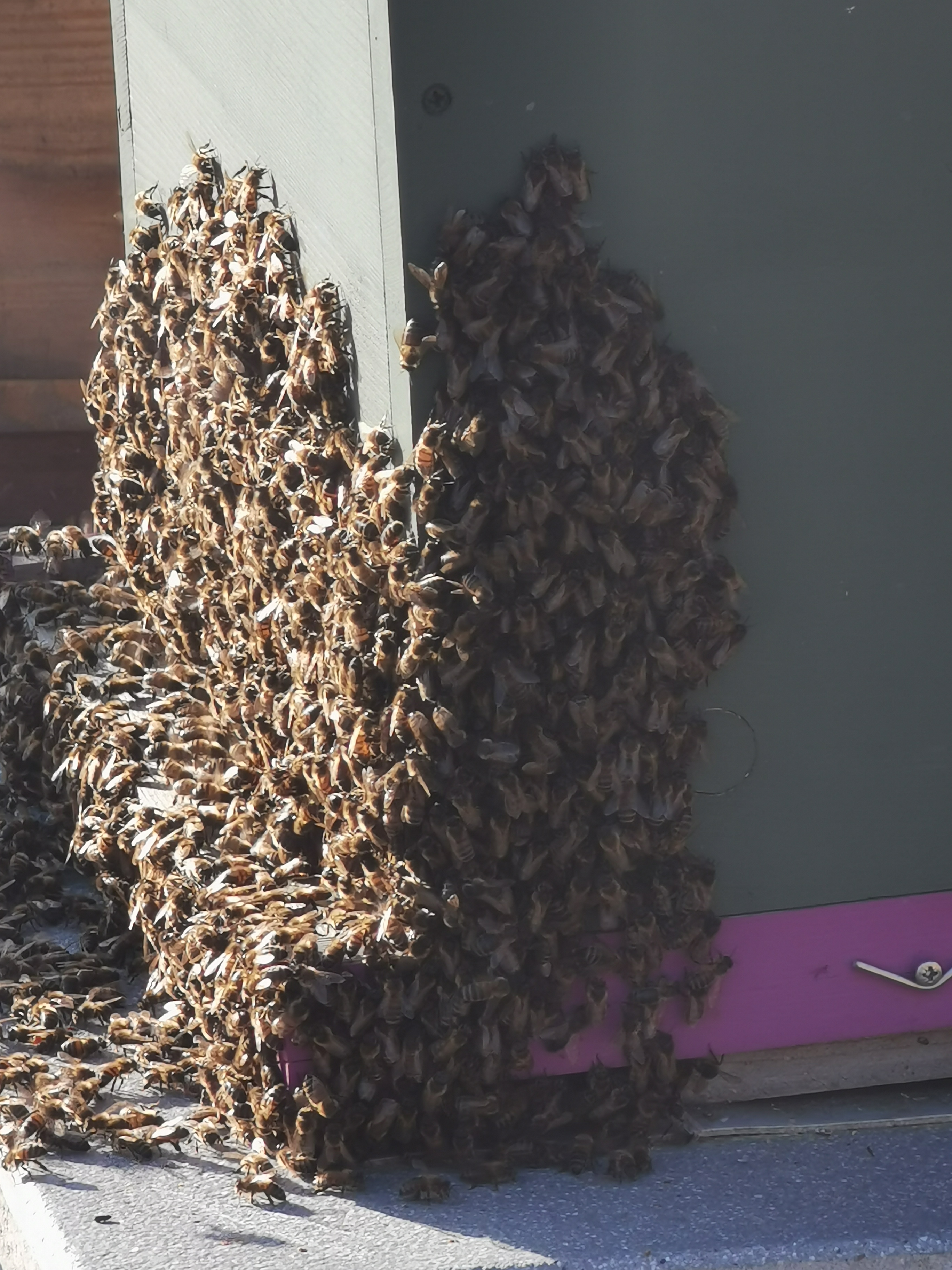 Photo n° 15 de l'avis de Phidis.a fait le 03/07/2019 à 17:43