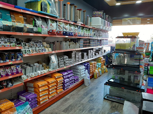 Alice Petshop Seyrantepe | Kağıthane İstanbul - Evcil Hayvan Malzemeleri Mağazası