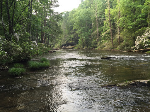 Outdoor Sports Store «The Local Hiker», reviews and photos, 173 E Main St, Spartanburg, SC 29306, USA