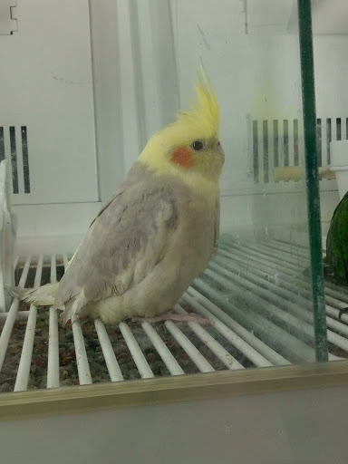 Pet Supply Store «Petco Animal Supplies», reviews and photos, 525 S 5th St, Bismarck, ND 58504, USA