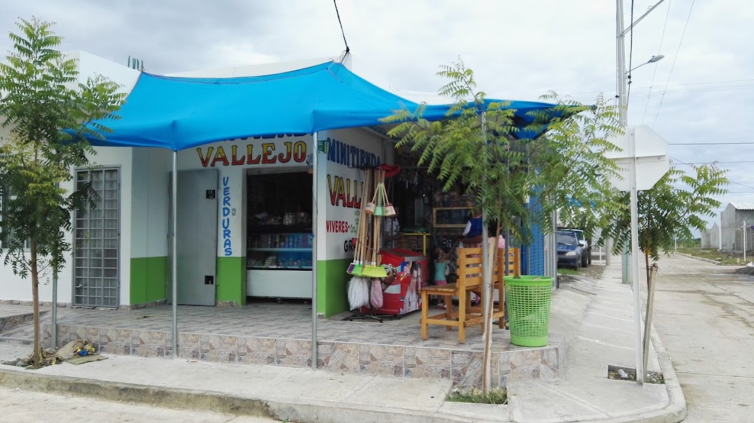 Mini tienda Vallejo