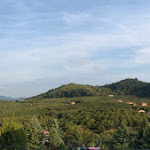 Photo n°1 de l'avis de Leonardo.i fait le 19/09/2018 à 11:40 sur le  Ristorante Albergo Da Maurizio à Cravanzana