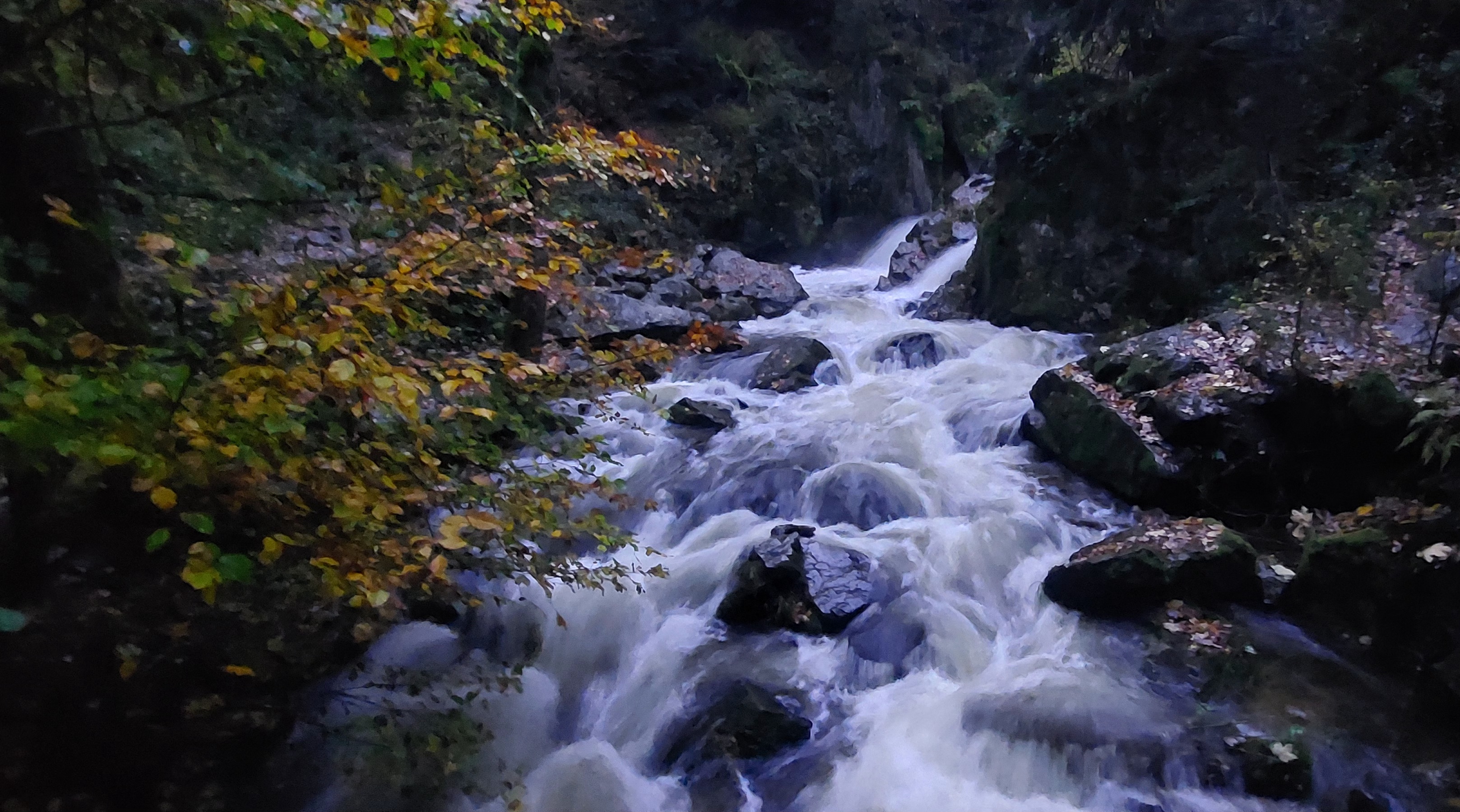 Photo n° 1 de l'avis de perrin.o fait le 14/11/2023 à 17:10