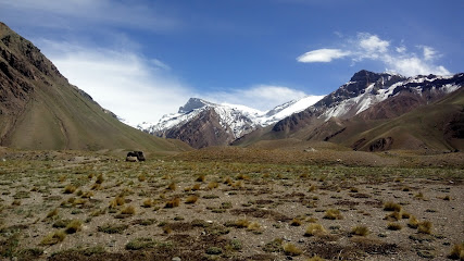 Viñedos Marchiori S.A.