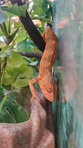 Pet Supply Store «Petco Animal Supplies», reviews and photos, 2140 E Blvd St, Kokomo, IN 46902, USA