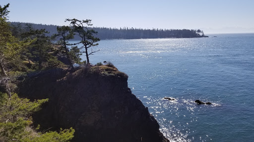 Home Improvement Store «The Home Depot», reviews and photos, 325 120th Ave NE, Bellevue, WA 98005, USA