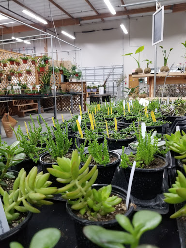 Florist «Portland Flower Market», reviews and photos, 3624 N Leverman St, Portland, OR 97217, USA