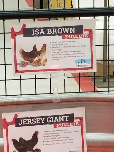 Home Improvement Store «Tractor Supply Co.», reviews and photos, 154 Vestal Pkwy W, Vestal, NY 13850, USA