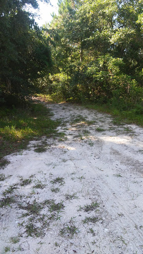 Nature Preserve «Scottsmoor Flatwoods Sanctuary East», reviews and photos, 6000 Magoon Ave, Mims, FL 32754, USA