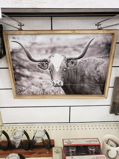 Tractor Supply Co., 120 26th St E #101, Williston, ND 58801, USA, 