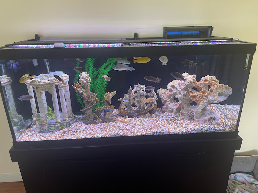 Pet Supply Store «Pet Supplies Plus», reviews and photos, 646 Long Hill Rd, Groton, CT 06340, USA