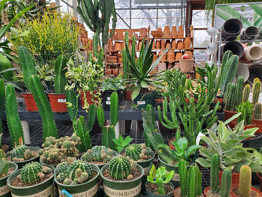 Florist «Bayport Flower Houses, Inc.», reviews and photos, 940 Montauk Hwy, Bayport, NY 11705, USA