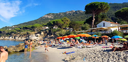 Sant'Andrea Beach'in fotoğrafı ve güzel manzarası