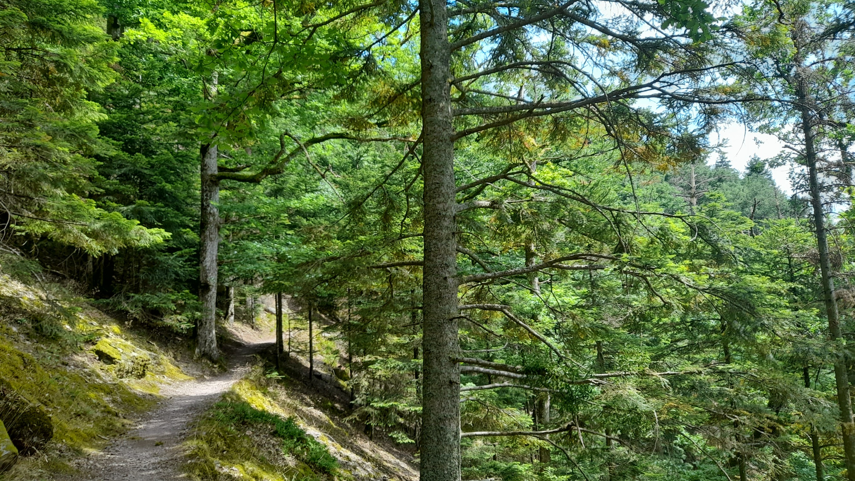 Photo n° 22 de l'avis de Kris.c fait le 20/07/2022 à 13:28