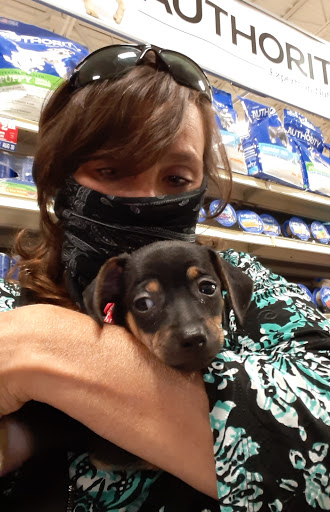 Pet Supply Store «PetSmart», reviews and photos, 1460 Koester Rd, Forsyth, IL 62535, USA