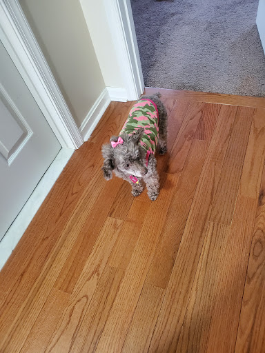 Pet Supply Store «Petco Animal Supplies», reviews and photos, 19 Shining Willow Way, La Plata, MD 20646, USA