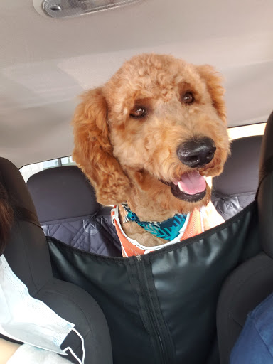 Pet Supply Store «PetSmart», reviews and photos, 19320 Nordhoff Way, Northridge, CA 91324, USA