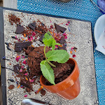 Photo n°4 de l'avis de TOMASZ.O fait le 11/08/2023 à 17:25 sur le  Calaluna ristorante à Cala Gonone