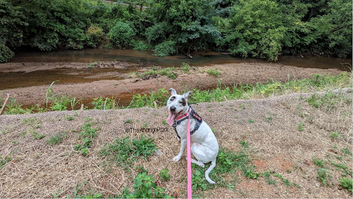 Park «Cleveland Park», reviews and photos, Cleveland Park Drive & East Washington, Greenville, SC 29601, USA