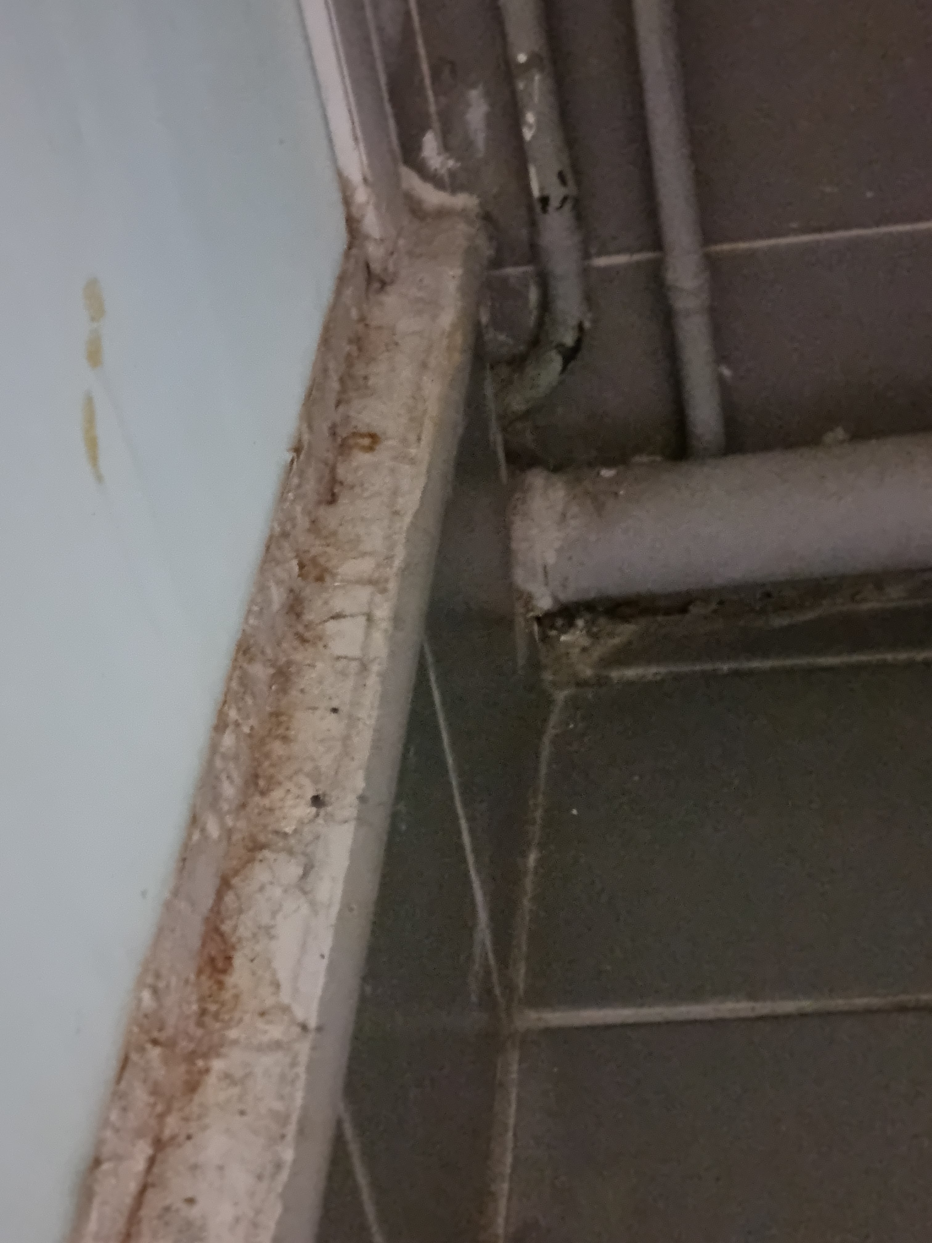 Photo n° 1 de l'avis de saih.a fait le 17/03/2024 à 14:13