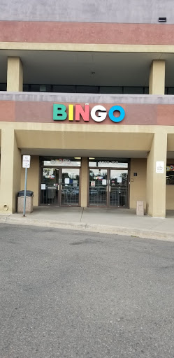 The Bingo Company
