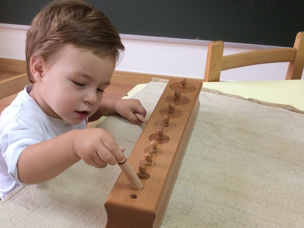 Montessori Kids