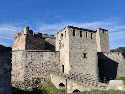 Средновековна Крепост Баба Вида