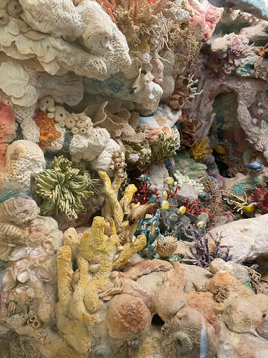 Science Museum «Orlando Science Center», reviews and photos, 777 E Princeton St, Orlando, FL 32803, USA