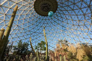 Mitchell Park Domes Horticulture Conservatory image