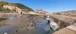 Photo de Cove Harbour zone sauvage