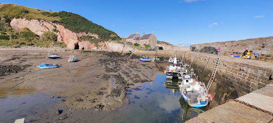 Cove Harbour