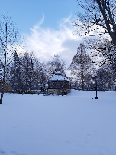 Museum «Holland Museum», reviews and photos, 31 W 10th St, Holland, MI 49423, USA