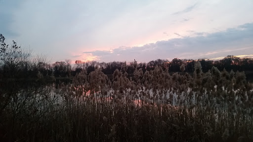 Dog Park «Dog Park», reviews and photos, 9068-9156 Wheatsheaf Rd, Morrisville, PA 19067, USA