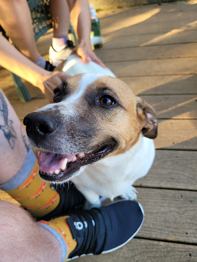 Pet Supply Store «PetSmart», reviews and photos, 181 Wilson Ave, Hanover, PA 17331, USA