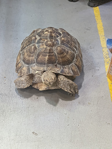 Pet Store «Parker Exotic Pets», reviews and photos, 17880 Cottonwood Dr, Parker, CO 80134, USA