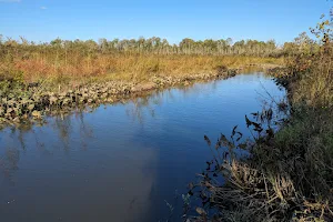 Patuxent Wetland Park image