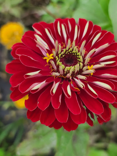 Fruit and Vegetable Store «Henley Farm», reviews and photos, 3513 Charity Neck Rd, Virginia Beach, VA 23456, USA