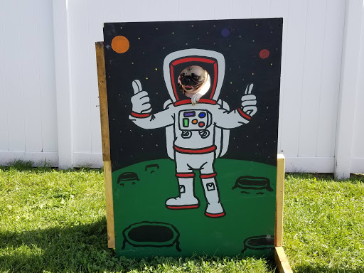 Animal Shelter «One of A Kind Pet Rescue», reviews and photos, 1929 W Market St, Akron, OH 44313, USA