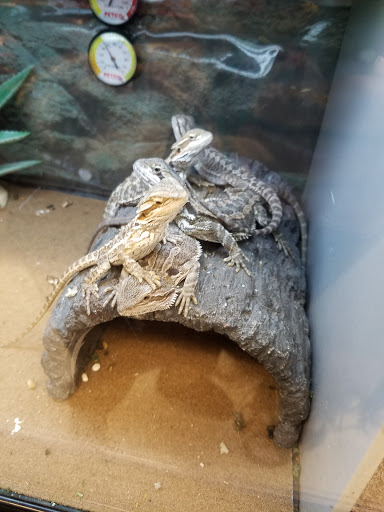 Pet Supply Store «Petco Animal Supplies», reviews and photos, 1301 S California Blvd, Walnut Creek, CA 94596, USA