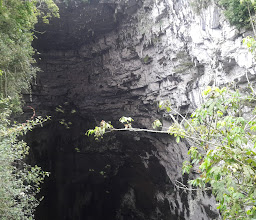 Sotano De Las Huahuas photo