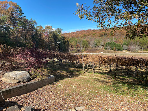 Vineyard «Frogtown Cellars», reviews and photos, 700 Ridge Point Dr, Dahlonega, GA 30533, USA