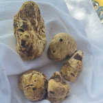 Photo n°2 de l'avis de michela.i fait le 03/11/2022 à 12:17 sur le  Farmhouse Ca 'del Re à Verduno