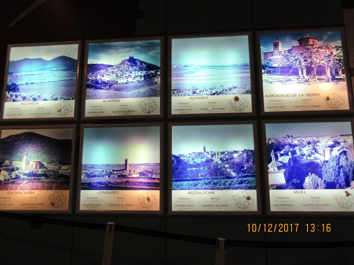 Museo del Vino y Consejo Regulador Denominación de Origen Protegida Cariñena