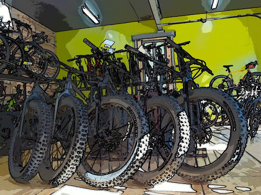 Bicycle Store «Revolution Bicycles», reviews and photos, 190 Main St, Saugerties, NY 12477, USA